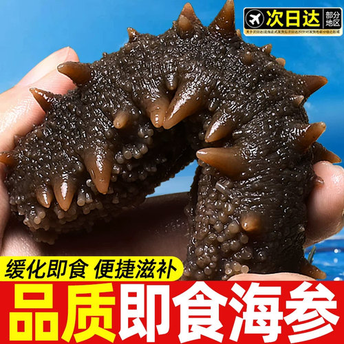 上新！69元抢鲜蒸即食深海刺参