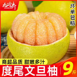 度尾文旦柚无虾线柚子正宗红白心蜜柚葡萄柚当季应季新鲜水果整箱