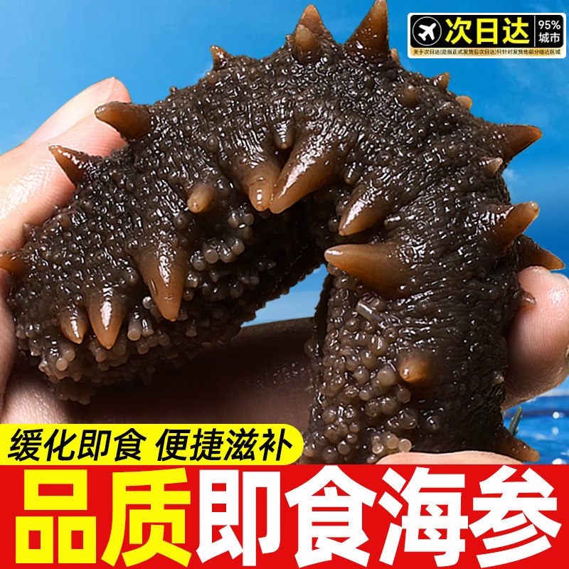 即食海参鲜活官方旗舰店大连瓦房店刺参淡干海渗独立包装袋一斤