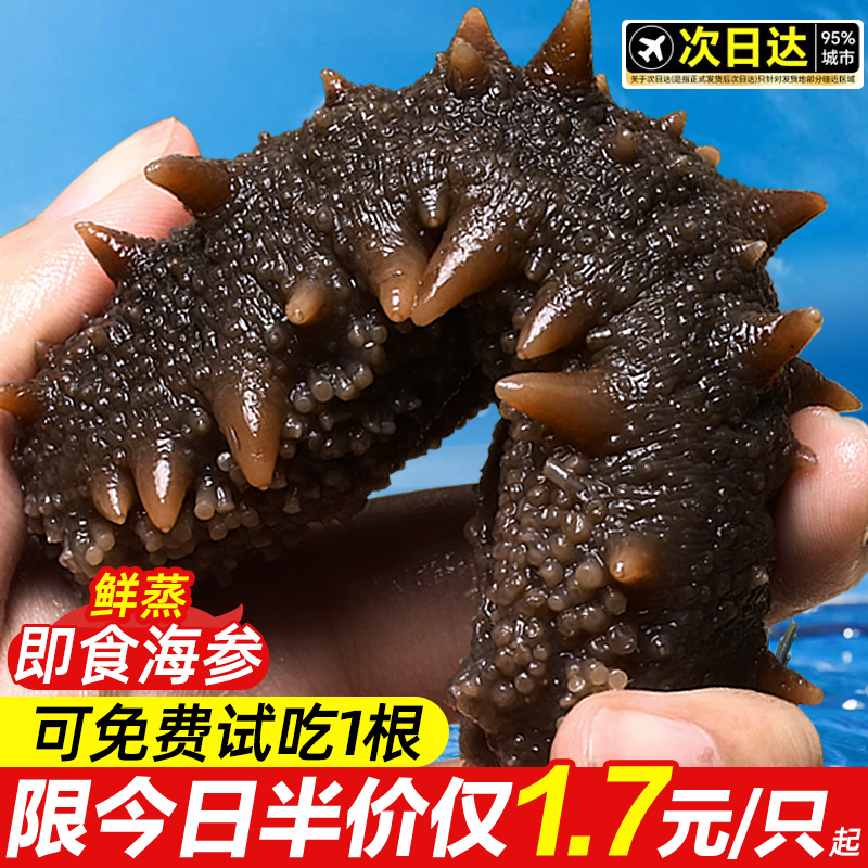 上新！69元抢鲜蒸即食深海刺参