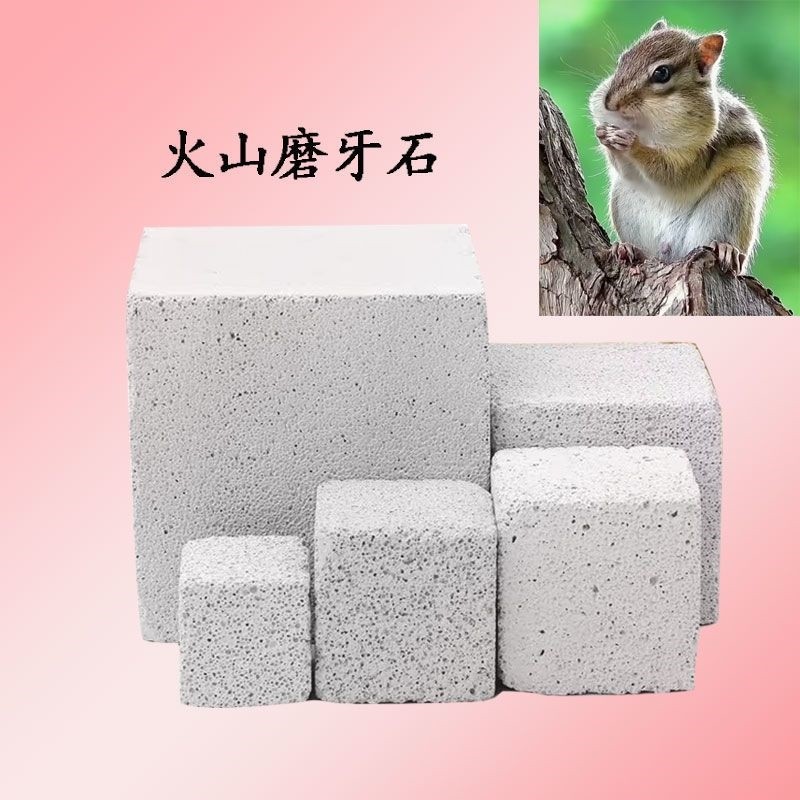 大磨甲板松鼠龙猫咬木兔子豚鼠荷兰猪火山岩磨牙石磨爪仓鼠磨脚板图片