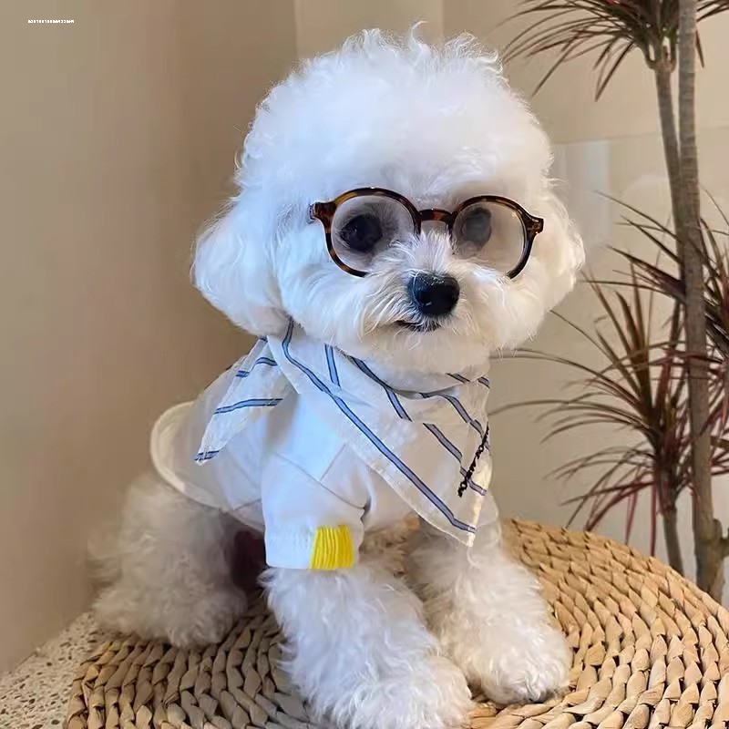 比熊专用眼镜宠物小狗狗饰品配饰装饰拍照道具用品小型犬幼犬