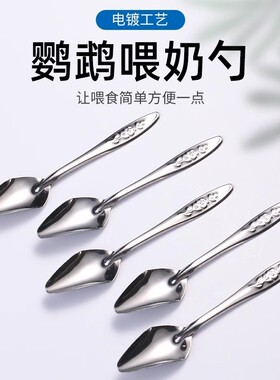 鹦鹉幼鸟喂食喂奶器 手养鸟鹦鹉BB喂奶勺 幼鸟不锈钢鸟用喂奶勺子