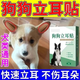 狗狗立耳朵神器小狗犬立耳贴德牧柯基雪纳瑞耳朵固定辅助竖耳器