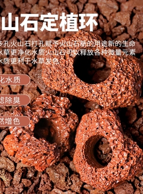 红色带孔火山石定植环鱼缸龟缸水草固定种植造景装饰水草底座