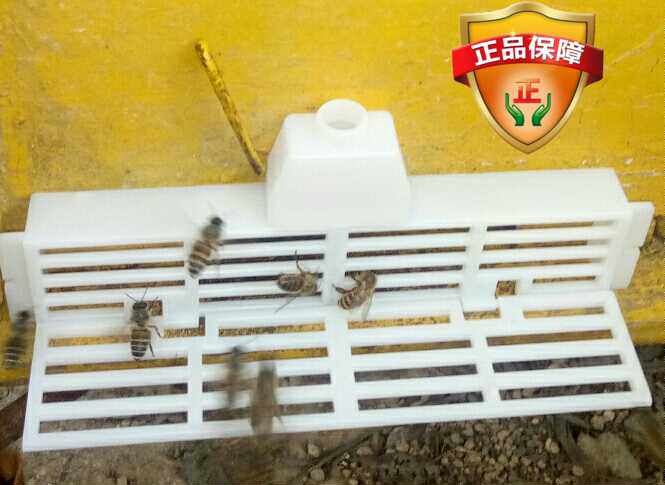 蜂具中国大陆中盗蜂王框多功能巢门防跑片驱逐雄蜂养蜂防逃蜂新品