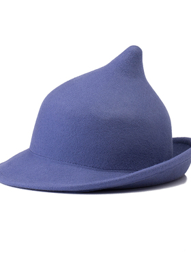 包邮哈利波特芙蓉同款布斯巴顿魔法学院德拉库尔羊毛毡蓝色礼帽子