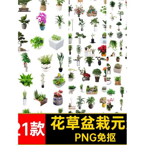 花草盆栽元素PNG免抠PS221款图片背景绿植盆景植物园林景