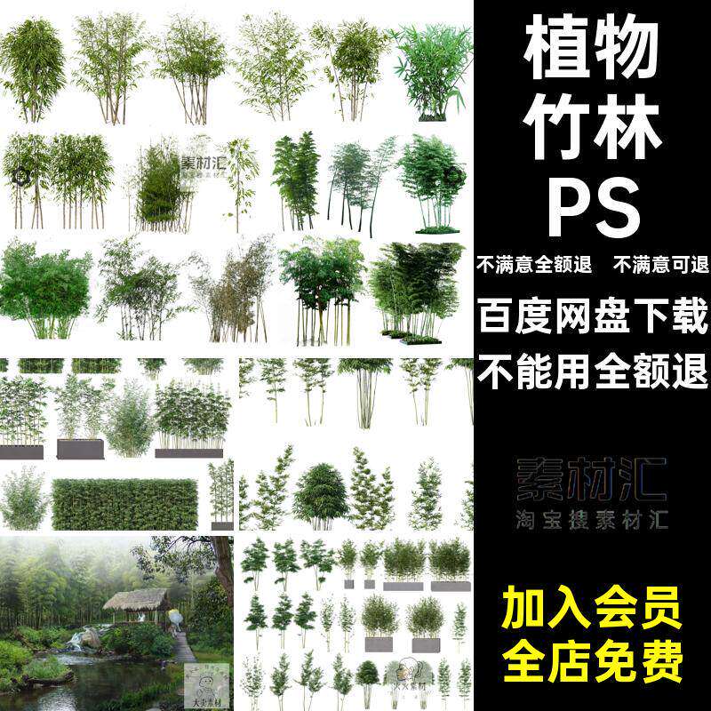 植物竹林PSD园林景观源文件日式园艺禅意平面图竹叶竹子新中式 - 实物图