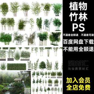 植物竹林PSD园林景观源文件日式园艺禅意平面图竹叶竹子新中式