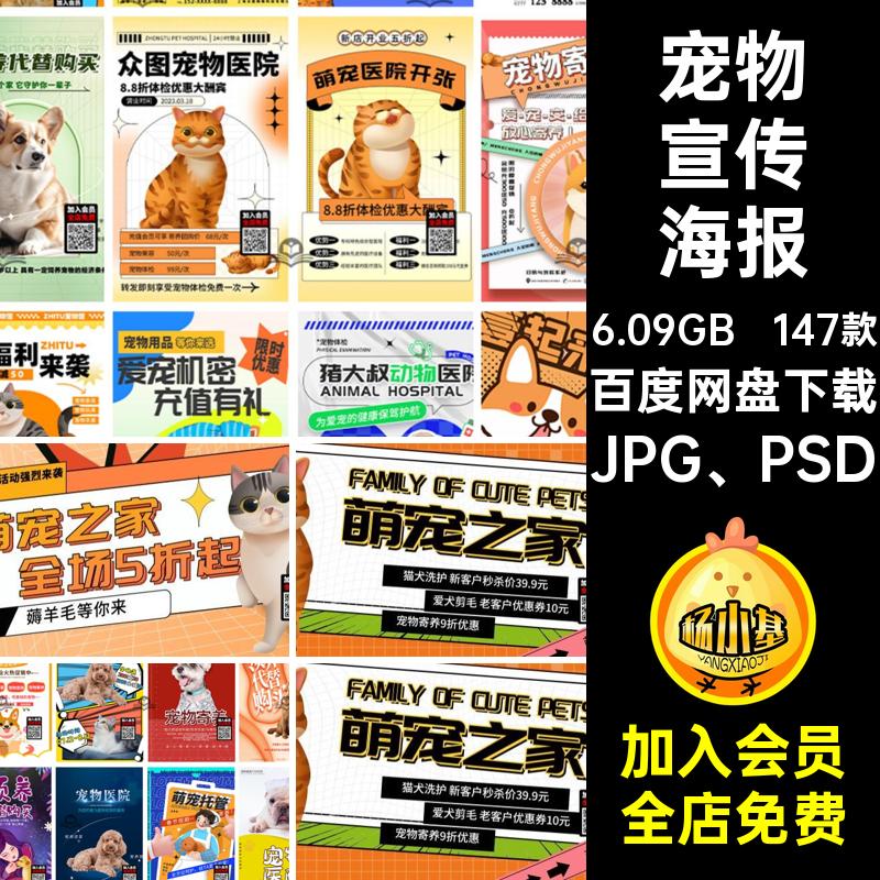 宠物猫宣传海报JPG PSD科普宣传活动萌宠宠物创意宠物用品大优惠