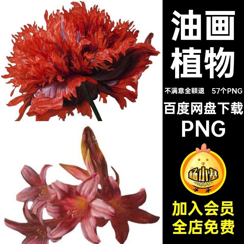 欧式复古油画质感手绘花卉鲜花植物图案拼贴PNG免抠图片设计素材