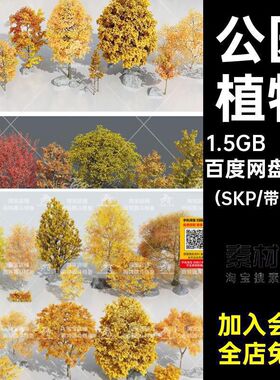 庭院植物（SKP红色树10组SU景观秋天银杏模型园林景观黄色红枫