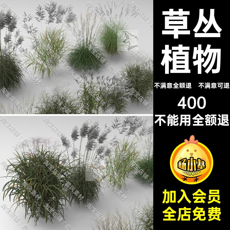 芦苇蒲苇模型FBX灌木素材草丛BlenderSU3D植物OBJSTLC4D三维C4D