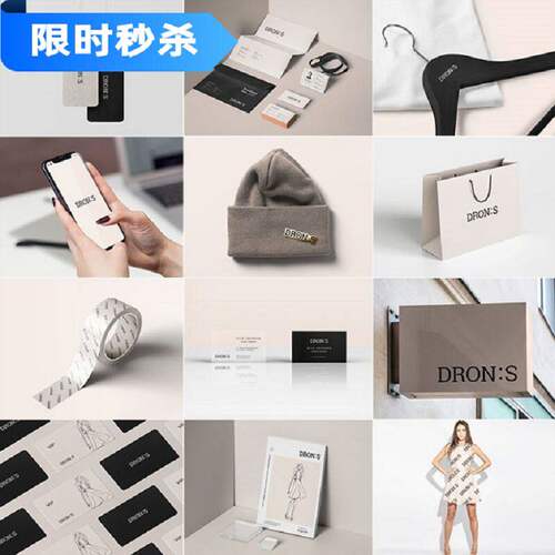 12款高端品牌VI样机贴图标志酒店PS智能提案服装logo品