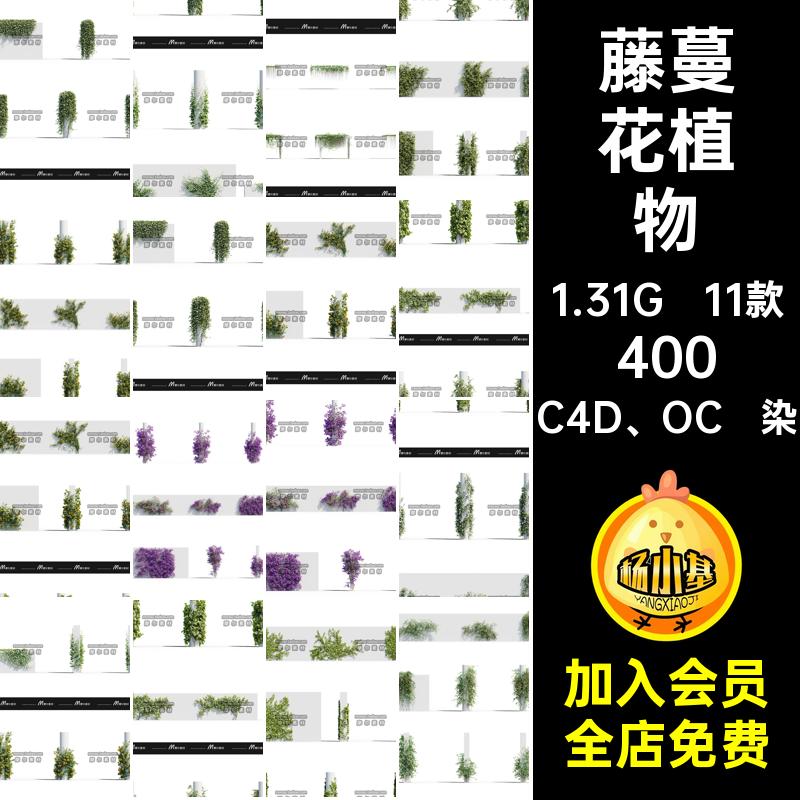 藤曼模型11款格式观赏爬山虎OCMX花素材植物藤蔓C4D OC渲染室外