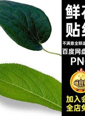 电子花卉PNG干花扣鲜花手美工文艺75款贴纸饭圈免复古帐植物贴纸