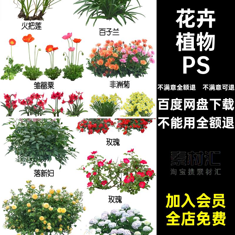 园林景观procreate花卉花镜花境地被植物PS效果图PSD免抠PNG素材