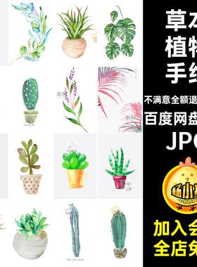102款装饰草本植物绿色插画JPG高清绘画手绘手绘JPG10