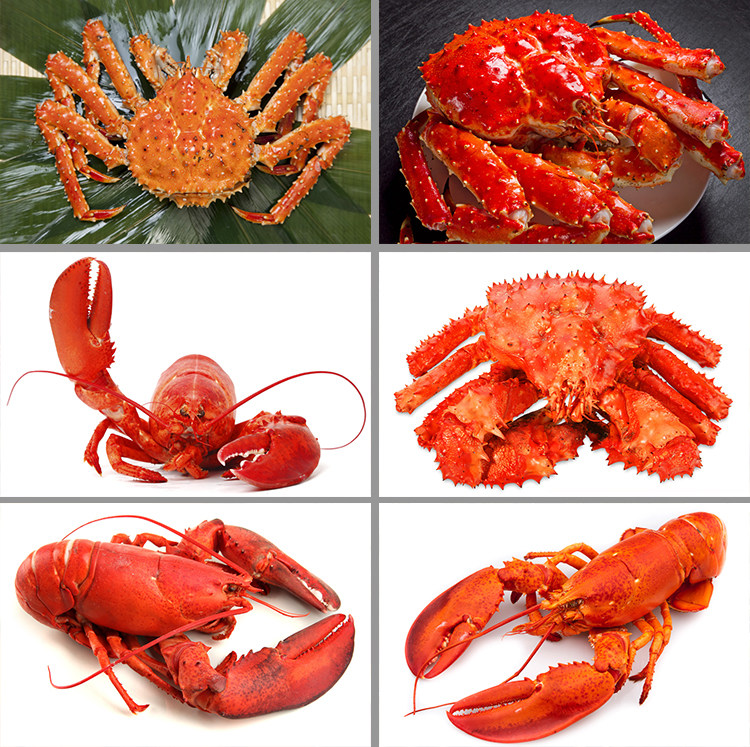 麻辣小龙虾大闸蟹帝王蟹海鲜海报背景食材jpg高清图片设计素材