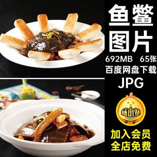 甲鱼设计合成JPG美食菜谱打印焖图片鱼鳖美食菜谱素材65张摄影