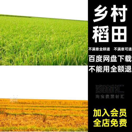 田野鸟瞰效果图景观稻田psd分层农田PS规划美丽乡村素材田园风光