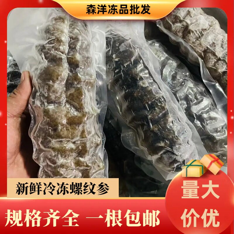 特级螺纹参龙纹参大海参