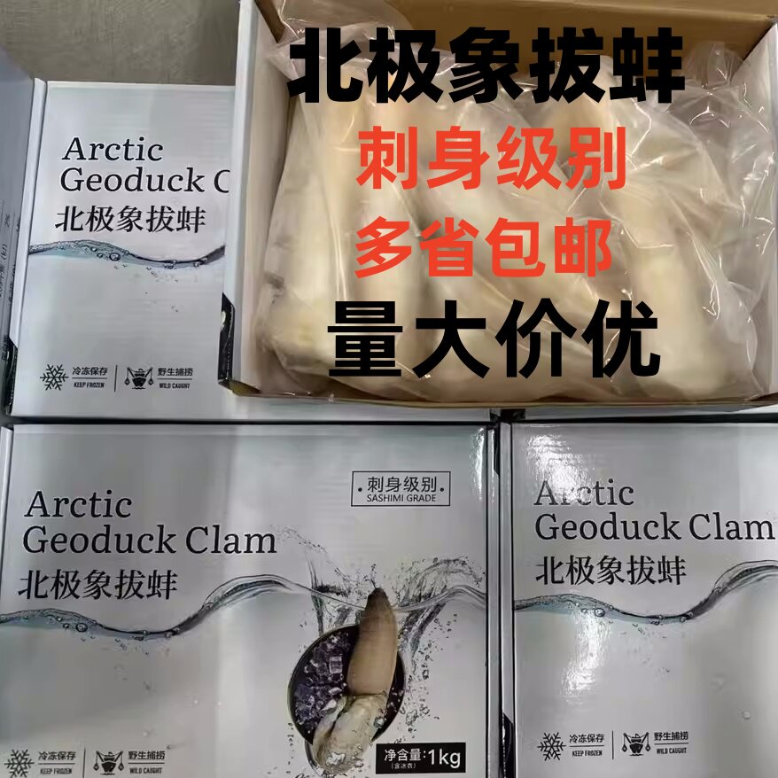 北极象拔蚌刺身级别解冻即食