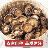 500g dried shiitake mushrooms, carefully selected from top-grade farmers in Xixia for making soup. Thick, rootless dried mushrooms, shiitake mushrooms, and dried shiitake mushrooms thumbnail 2