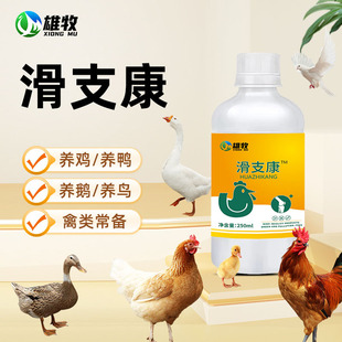 雄牧鸡鸭鹅家禽滑支康畜牧植物提取添加剂营养补充剂兑水拌料