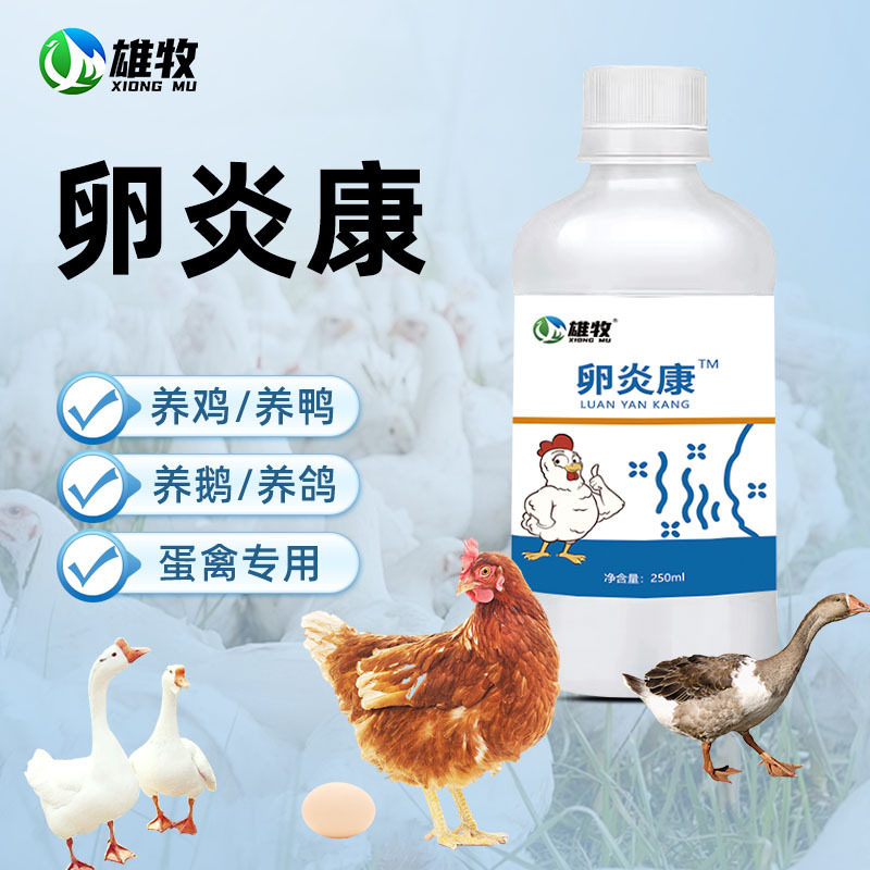 舒卵康卵炎康鸽子鹌鹑蛋禽通用产下蛋问题好蛋绿色天然饲料添加剂