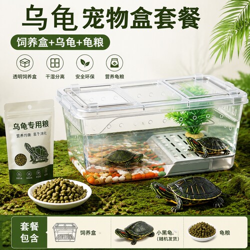 乌龟套餐活物巴西龟小乌龟观赏宠物缸造景草龟彩龟活体龟箱带爬台
