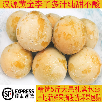 四川冰糖李黄金李汉源桃花李纯甜蜂蜜李子应季新鲜现摘特大果包邮