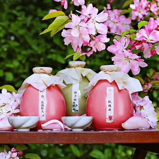 送酒杯3瓶礼盒装 桃花醉青梅酒玫瑰酒微醺果酒低度甜酒送礼酒500ml