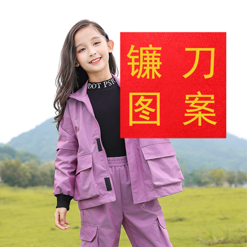党旗儿童手拿演出舞蹈道具图片