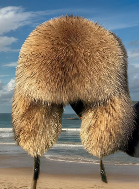 雷锋帽冬天加厚保暖皮草帽子环保貉子毛东北全毛霸王帽冬季潮男女