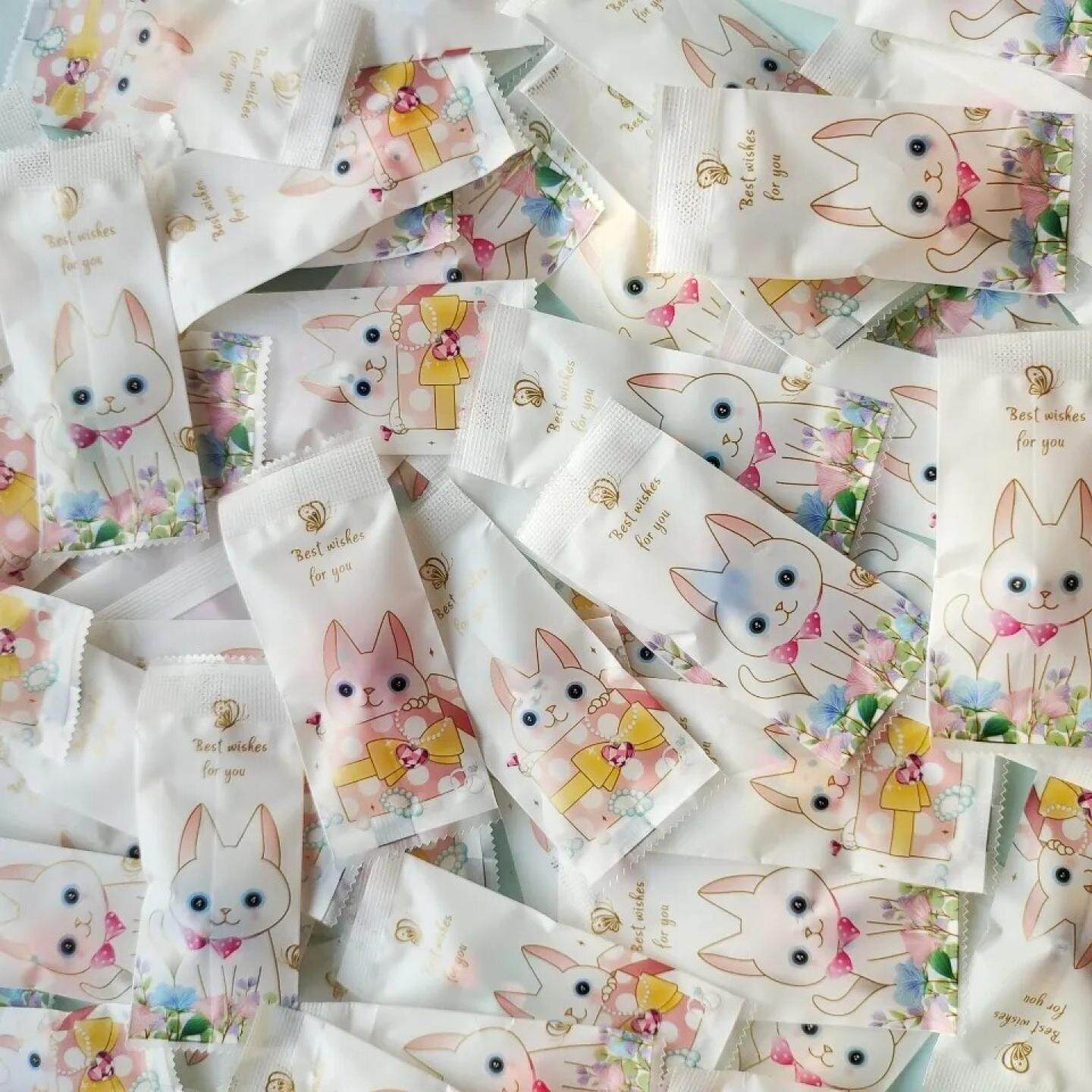 微缩小动物盲袋 迷你仿真食玩小兔子小猫小恐龙模型儿童玩具