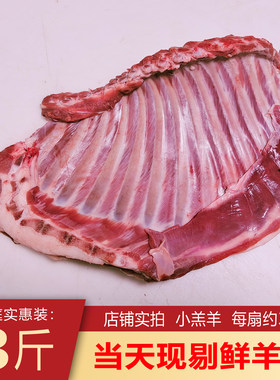 现剔鲜羊排整扇羊肋排手把肉烧烤
