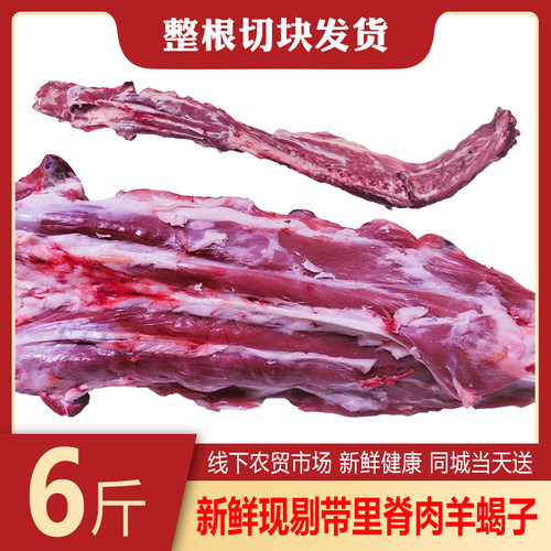 整根切块羊蝎子新鲜现剔羊脊骨