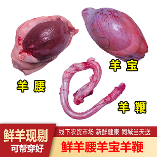 鲜羊腰羊宝羊鞭现剔鲜羊宝羊蛋羊原腰烧烤腰子