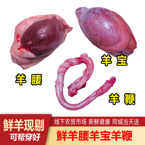 鲜羊腰羊宝羊鞭现剔鲜羊宝羊蛋羊原腰烧烤腰子