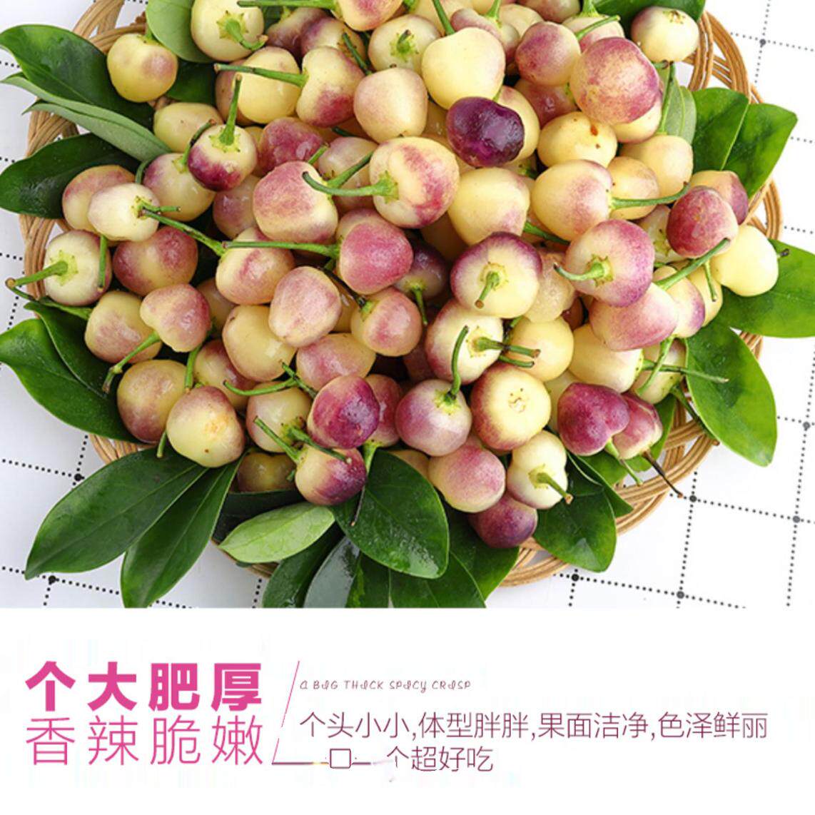 现摘广西七彩椒新鲜辣椒5斤蔬菜五彩椒泡椒小灯笼椒米椒包邮特产