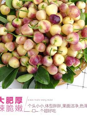 现摘广西新鲜5斤包邮特产七彩椒