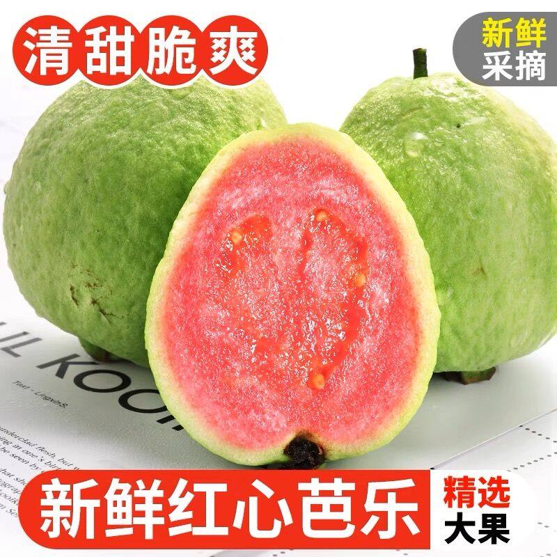 广西红心芭乐番石榴特产新鲜水果巴乐红肉潘石榴5斤当季脆硬生10,水产肉类/新鲜蔬果/熟食,番石榴/芭乐,淘宝优惠券,粉丝福利购,淘宝优惠卷