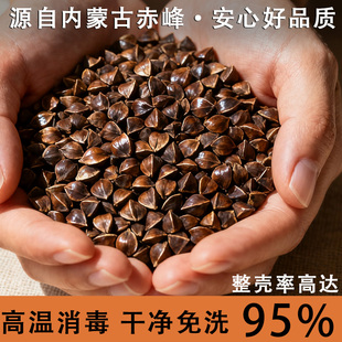 荞麦壳散装10斤免洗荞麦皮儿童夏凉枕芯填充物成人全荞麦枕头