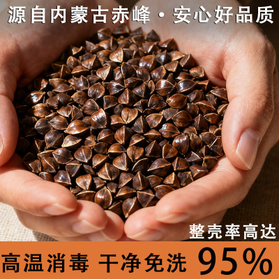 荞麦壳散装10斤免洗荞麦皮儿童夏凉枕芯填充物成人全荞麦枕头