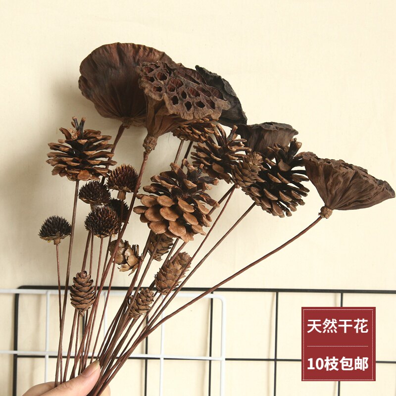 枯莲蓬天然干花禅意茶室装饰摆件拍摄道具松果黑心菊棉花diy花艺