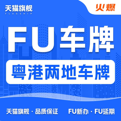FU粤港两地车牌深圳湾港珠澳大桥