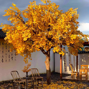 银杏树仿真黄色仿真树假树大树秋季装饰树网红树院落民宿酒店摆件