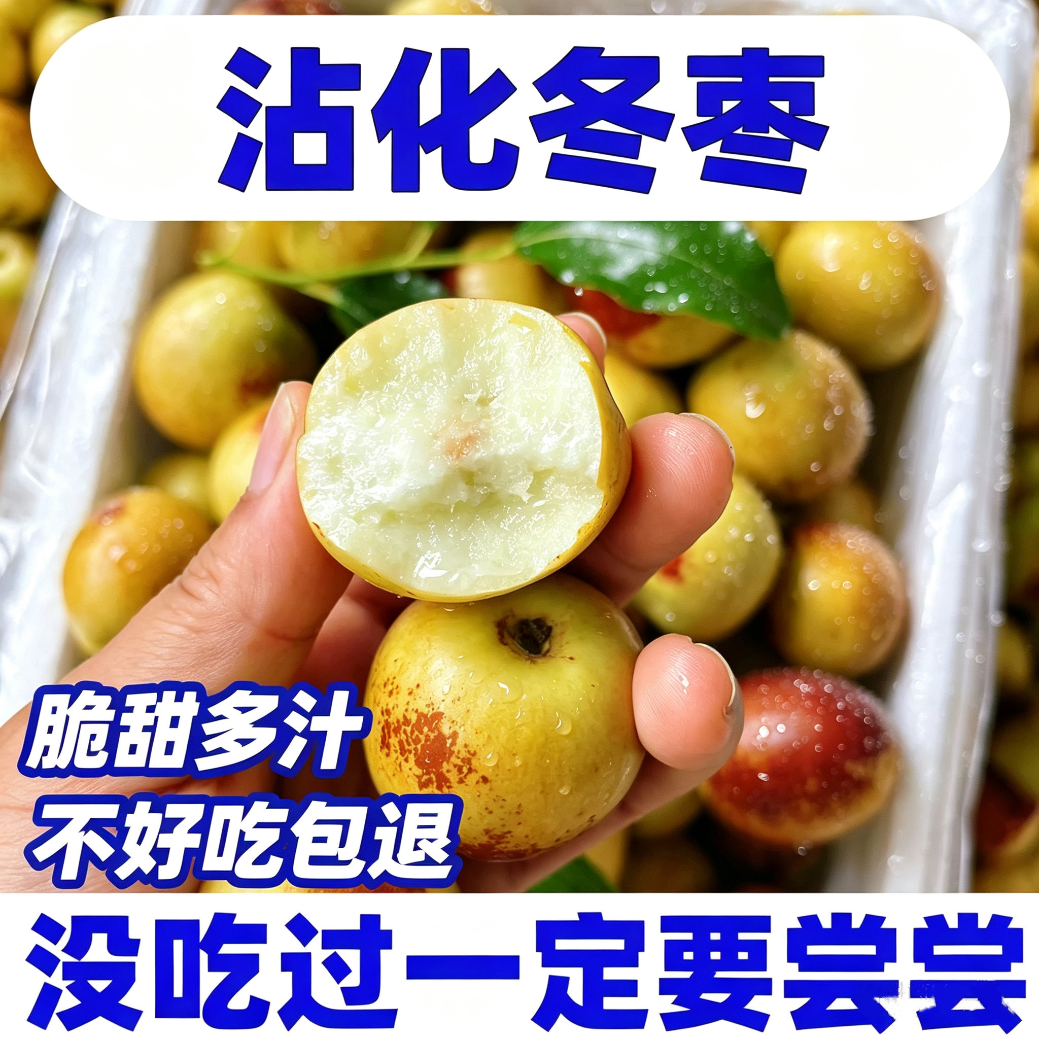 山东沾化冬枣5斤短枝二代冬枣脆枣甜枣新鲜当季水果包邮现摘现发